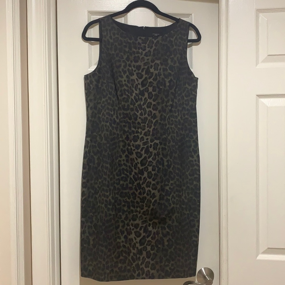 Ann Taylor Sleeveless Dress